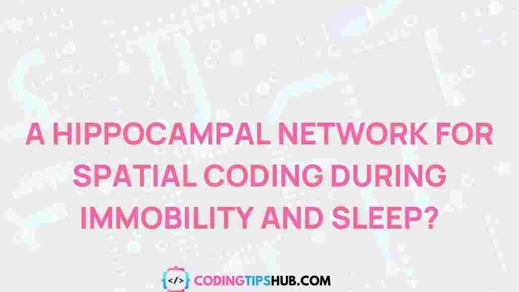 spatial-coding-hippocampal-network