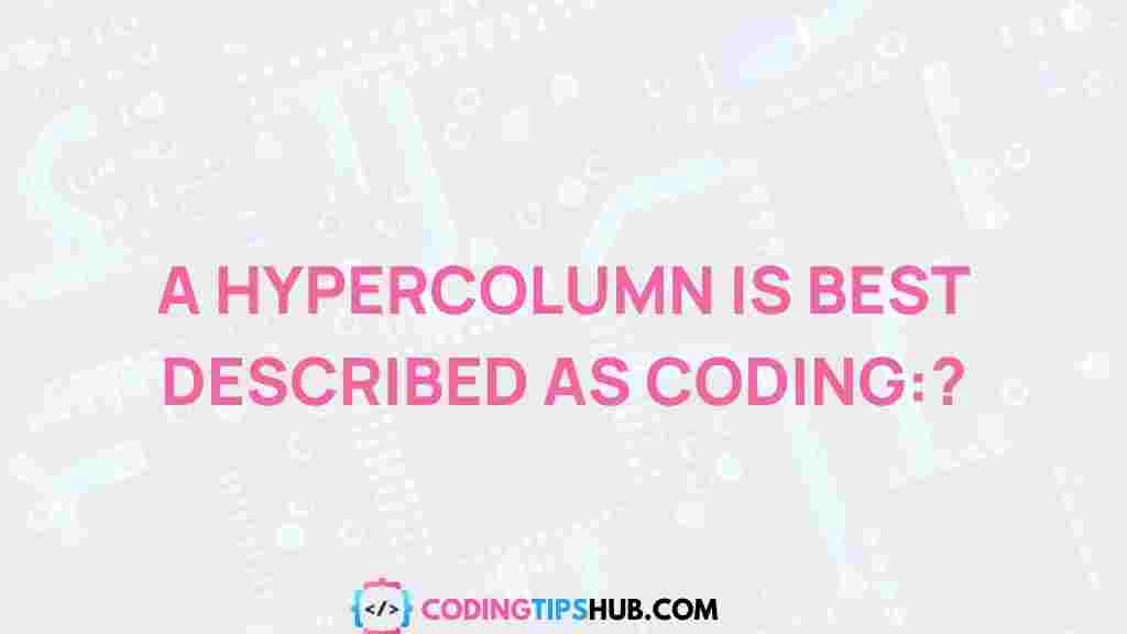 hypercolumn-coding-exploration