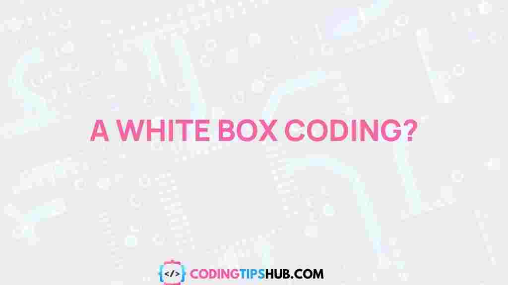 white-box-coding-explained