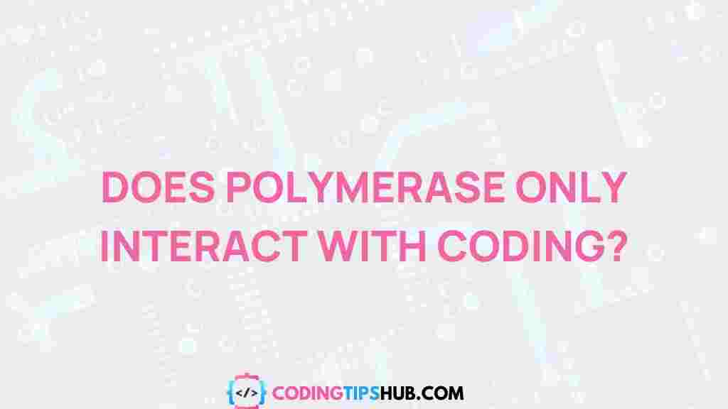 polymerase-interactions-beyond-coding